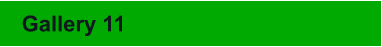 Gallery 11