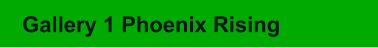 Gallery 1 Phoenix Rising